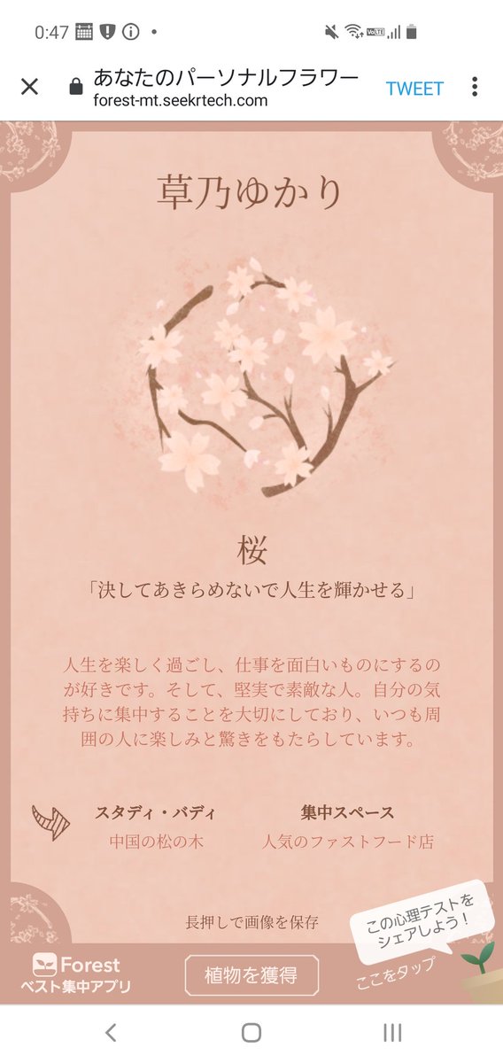 くさの 桜 春生まれだし 1番好きな花だから嬉しい こんな心理テスト見たことない 新感覚の Forest花 言葉心理テスト あなただけの集中タイプと花言葉を探しにいこう T Co 4d4ttvpbgq