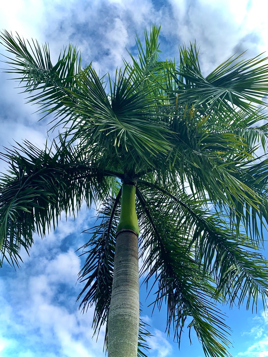 Sammy317's tweet image. Never stop being amazed at the wonder and beauty of creation. Stop and thank Him. #HeIsGood #GodOfCreation #CountYourBlessings