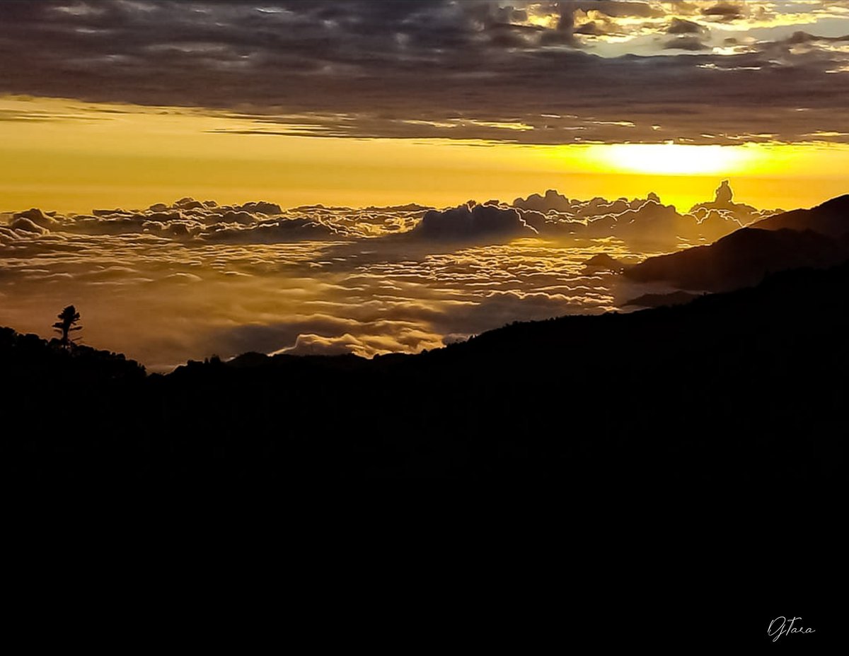 DJTARA_GT's tweet photo. Hermoso atardecer #Sanmarcos #Volcan de #Tajumulco caminando en las nubes #Guatemala #Visitguatemala #Conociendoguate #Asiesmitierra #Descubreguatemala   #quebellaesguata #natgeotravel https://t.co/CLgU6z8K0J