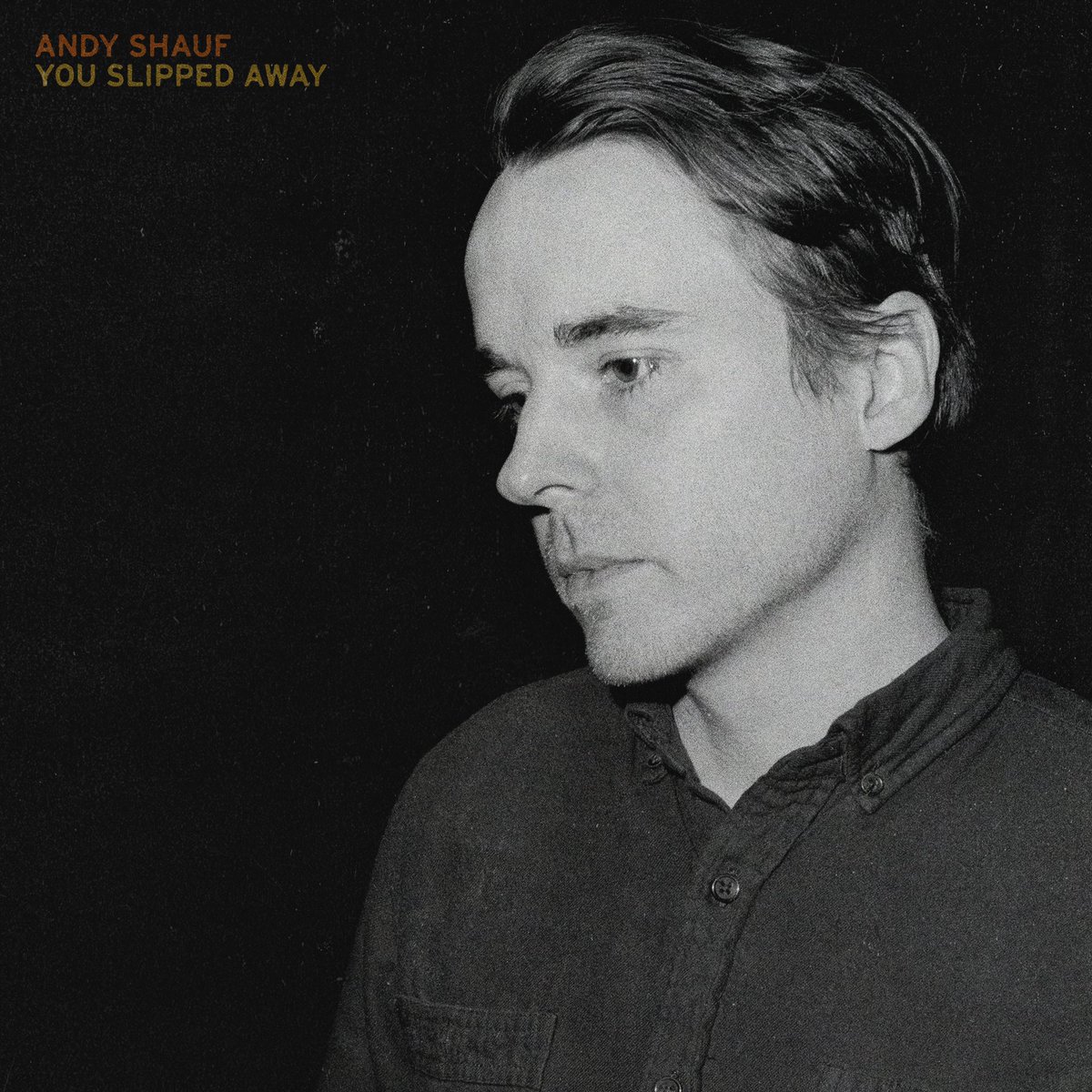 Andy Shauf tweet media