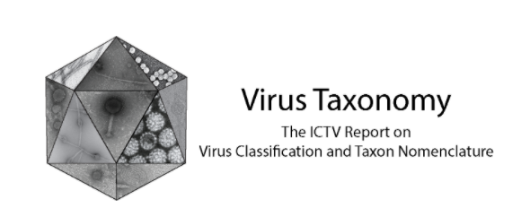 bushmanlab's tweet photo. Congrats to Louis Taylor and Arwa Abbas--their discovery of Redondoviridae has resulted in an official new virus family!
https://t.co/weHj6kOQ0c https://t.co/aT51aeQgQM