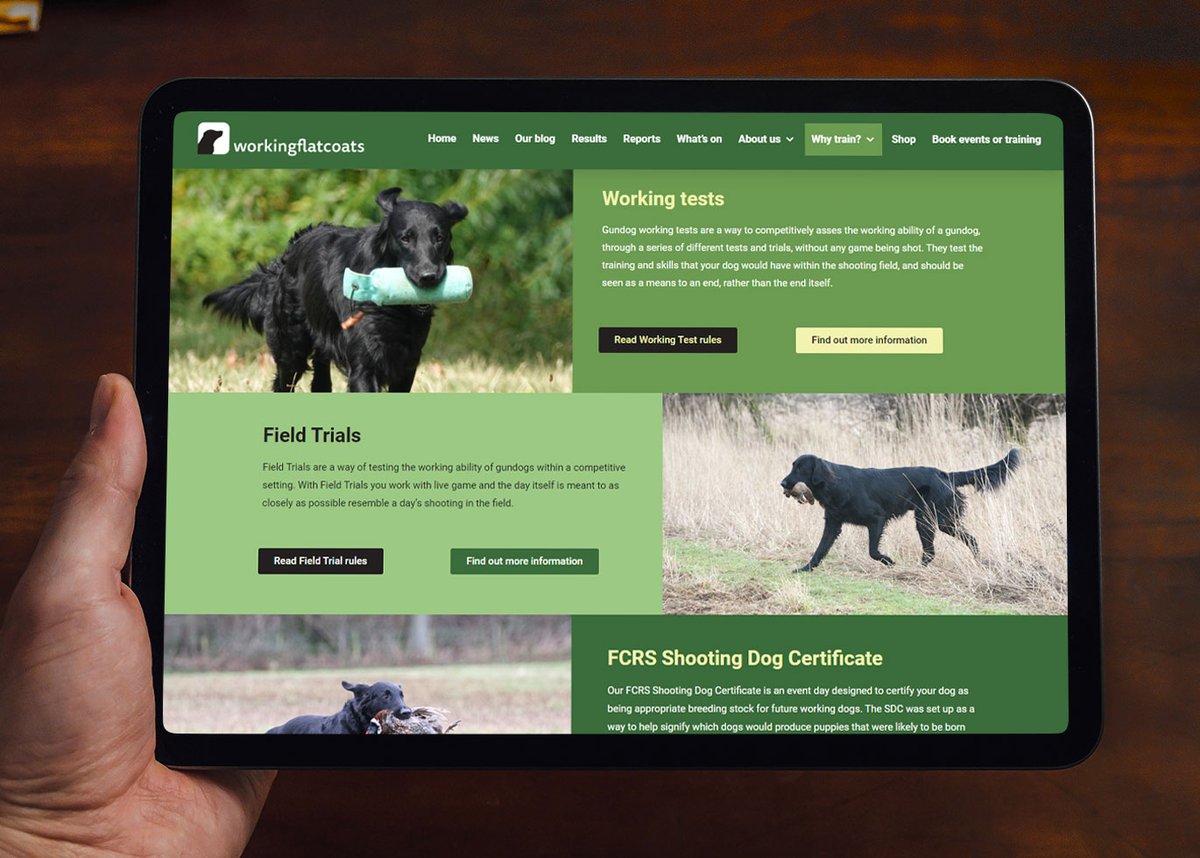 Kerry at Motacilo tweet media