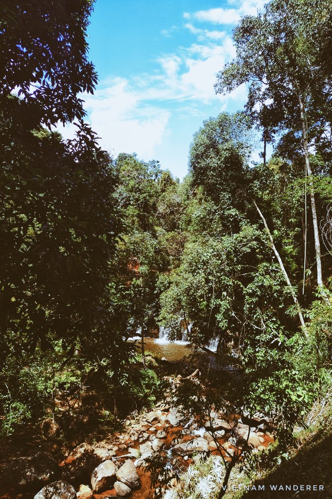 WandererVietnam's tweet photo. Waterfall in love ♥️ No wifi. Just walk and listen to the nature songs.

#WandererVietnam #Vietnam #travelvietnam #travelasia #waterfalls #highland #waterfallchasers #Jungle #offthebeatenpaths #naturelovers #calmingsounds https://t.co/JvEox11GFe
