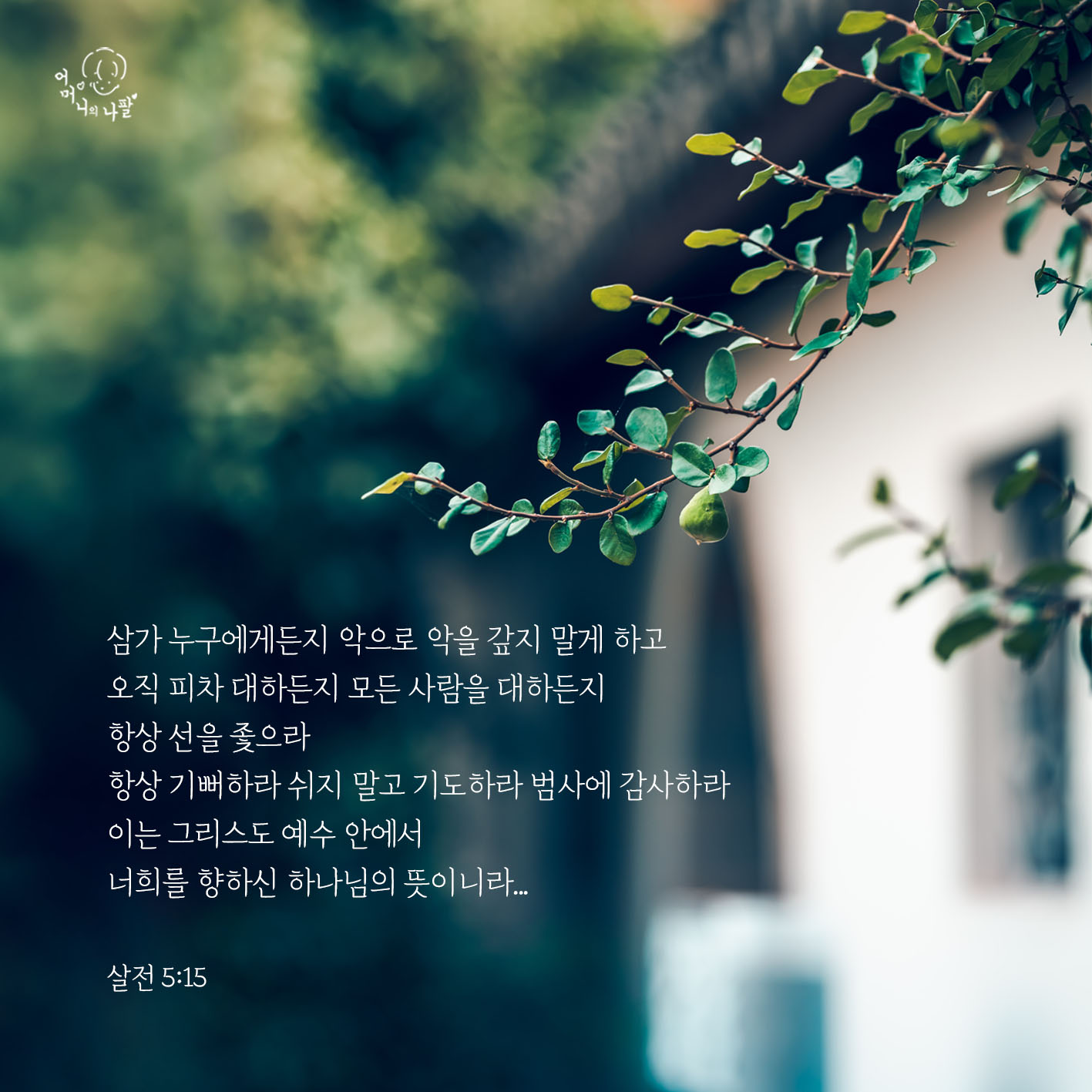 양심이 On Twitter: