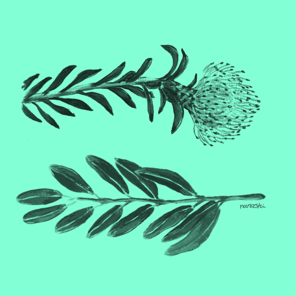 Noname774 Nanashi 植物 イラスト 花 植物が好きだけど花を飾るようなお洒落な家に住んでません