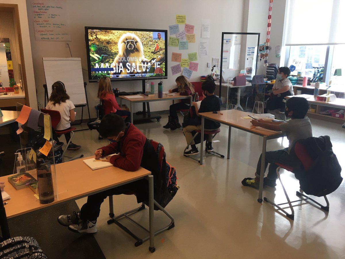 msmartha021's tweet photo. G4 Ss joined @NatGeoEducation Explorer Classroom to learn about human impact on Colombia’s fauna &amp; flora. Ss had great questions about protecting laws and what actions are needed to help the ecosystem. This future generation is already up to greatness! @ibpyp @GEMSChiPYP https://t.co/s9orqOFmlE