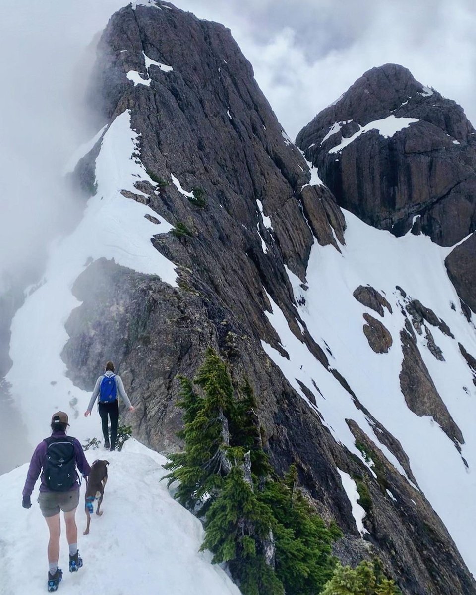 Happy National Take A Hike Day! 🥾

We hope you’ll use today to unplug, get some exercise, and enjoy the beauty of nature. 🏔

Use #yaktrax so we can see your hiking adventures! 

<a href="/AmericanHiking/">American Hiking</a> #TakeAHike

#hiking #nationaltakeahikeday #TakeAHikeDay #Hike #Trails #outdoors