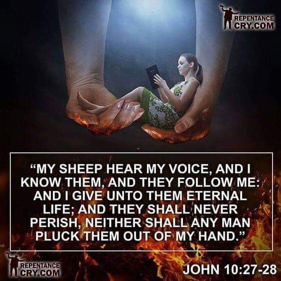 The Pilgrims Prayer 🏠, Pastor writes , you are my sheep and I am your shepherd I bring friendship , peace and joy to you , for I send you out as the shepherd to tell others of this  good news , praise God for all eternity.
🏠🍞🙏♥️☦️✡️♥️🙏🍞🏠