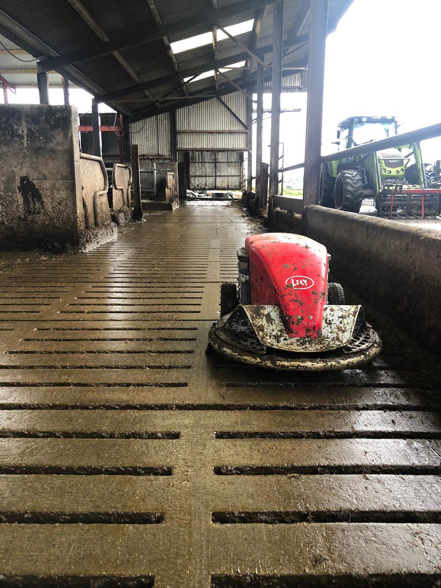 lelyrobotman's tweet photo. Best of luck to the Higgins Family in Tipperary with their new Lely Discovery
#CleanFloors
#LessLameness
#CleanCubicles
#CleanCows
#CleanMilk https://t.co/KbI1rW7e4j
