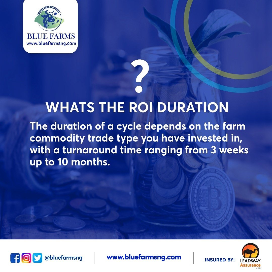 bluefarmsng's tweet photo. Each investment plan you sign up for with Farms has a specified turn around time.  Once the specified duration cycle you can easily cash out or choose to re-invest.

Visit https://t.co/lytKWmR0KR to learn more

#Bluefarms #Roi #investment #faq #agribusiness https://t.co/JrY0OzxTi0