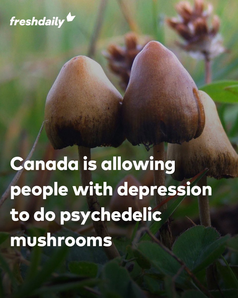 Freshdaily tweet media