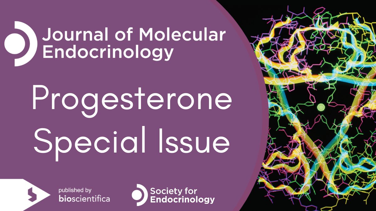 JMolEndo's tweet photo. Thank you to everyone who attended the @Soc_Endo @NeuroEndoNW session at #SfEBES2020 
 
 Want to learn more? Explore our #FreeAccess Progesterone Special Issue today - https://t.co/iKnS7Vmakl https://t.co/1eQa2evt1d