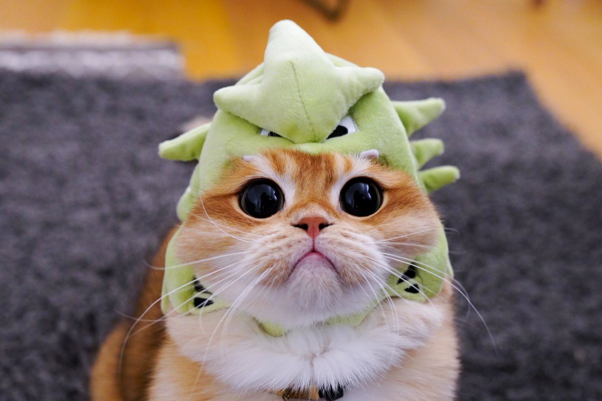 Which Pokémon is that?!