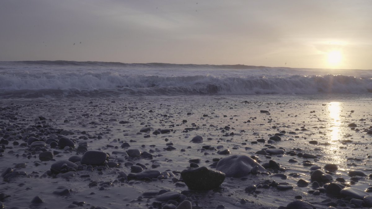 By showing us benign spots around a city and connecting them to political events, Trails makes the case for space as adaptable to the people that move into them. It’s a soft eye on Vietnamese identity in the US & how we have to remind ourselves of the things that demand justice.