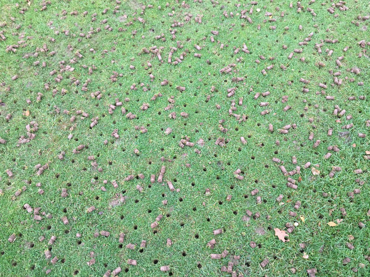 Malvern Greens tweet media