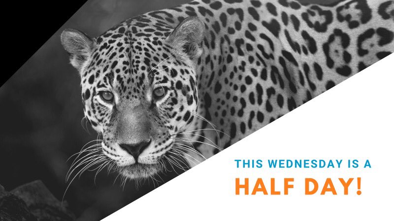 DRHS_Yearbook's tweet photo. Hey jags just a reminder that Wednesday is a half day:) Keep up the good work! #jags #drhsyb https://t.co/BwpIYY8TWm