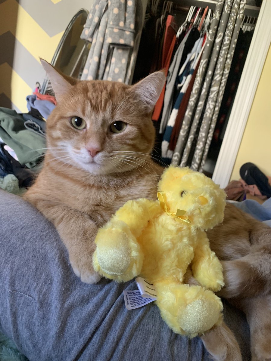 qtba2te's tweet photo. @addiehowell Here’s Mr. Goose to the rescue https://t.co/VYp5xwnj7t