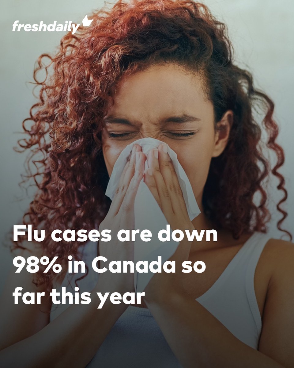 Freshdaily tweet media