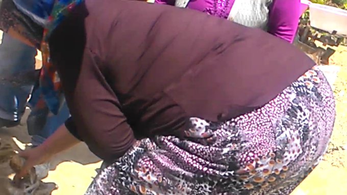 nasısll  dommaalmaaa