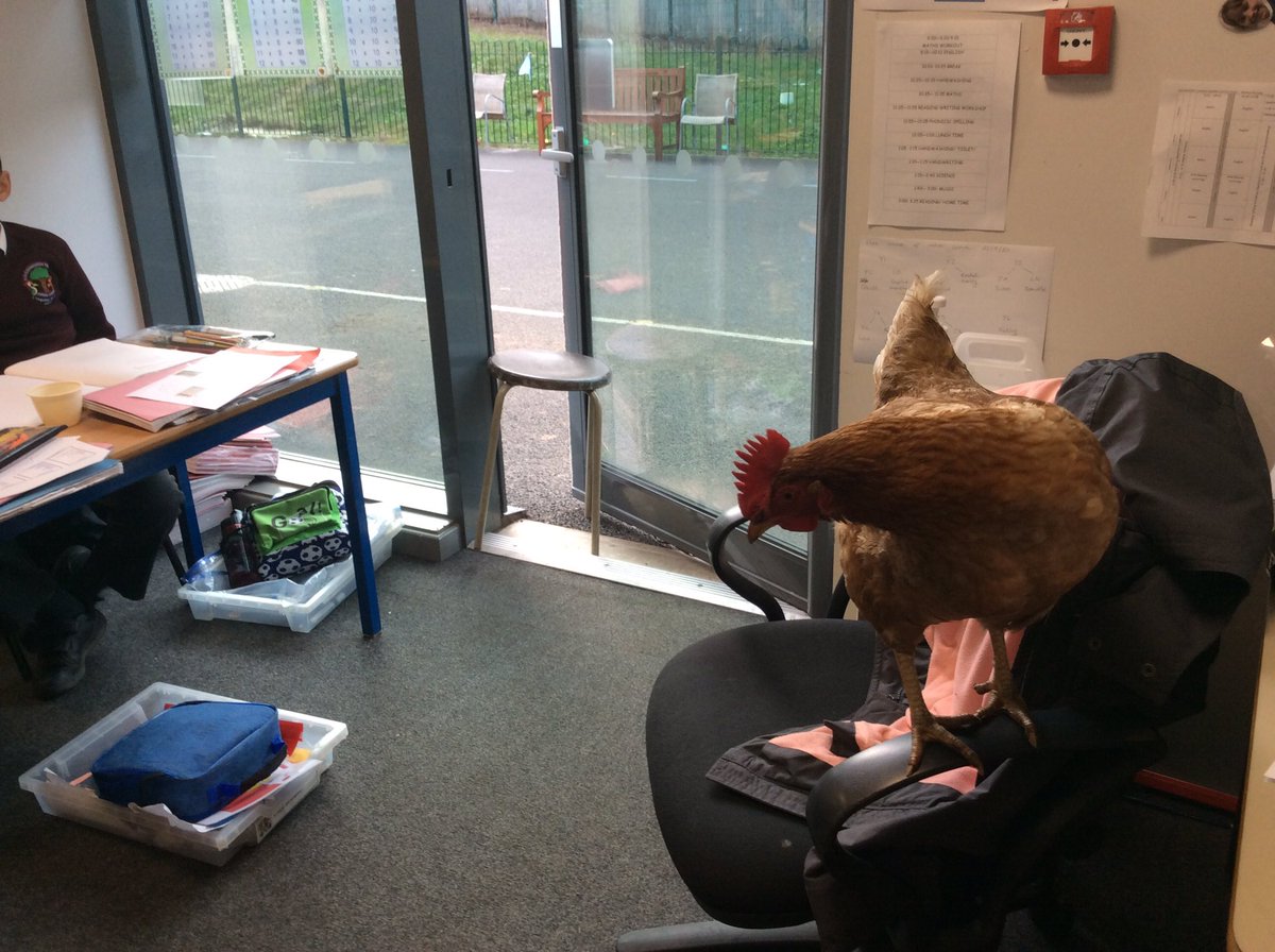 RTPSYear3A's tweet image. Teacher for the day 😀