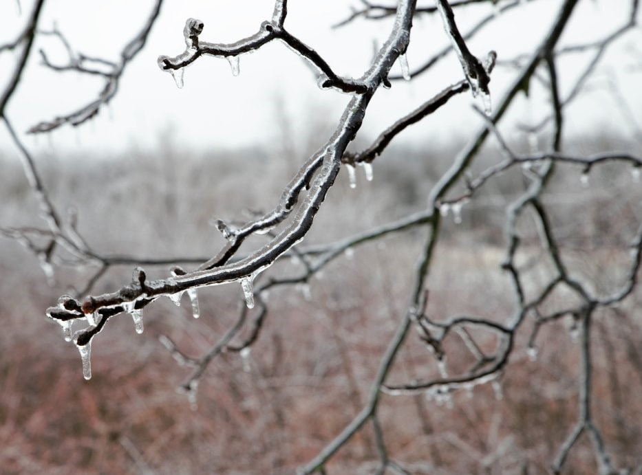 ElectricOzark's tweet photo. Winter storms bring wind, heavy snowfall, and ice that sometimes cause power outages. To avoid carbon monoxide poisoning, do NOT operate a generator in a basement/enclosed area. Use carbon monoxide detectors and get fresh air right away if you feel sick, dizzy or weak! https://t.co/l6YJLcuZEj