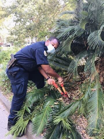 NOPDNews's tweet image. Our 8th District Community Liaison Officers were in the Esplanade Neighborhood this weekend helping to #CleanupNOLA from the impacts of #HurricaneZeta 

Thanks for your awesome hard work in keeping our community beautiful and safe!

#NOPDCares #NOPDProud #NOLA #community