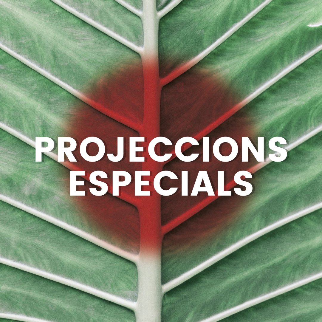 RECtgn's tweet photo. PROJECCIONS ESPECIALS
Aquest any tindrem la presencia d'unes pel·lícules molt especials. 

✍️ Josep, una de les principals favorites per convertir-se en la Millor Pel·lícula d’Animació Europea en els propers premis EFA.

⬇️ https://t.co/8APlU7I2jF