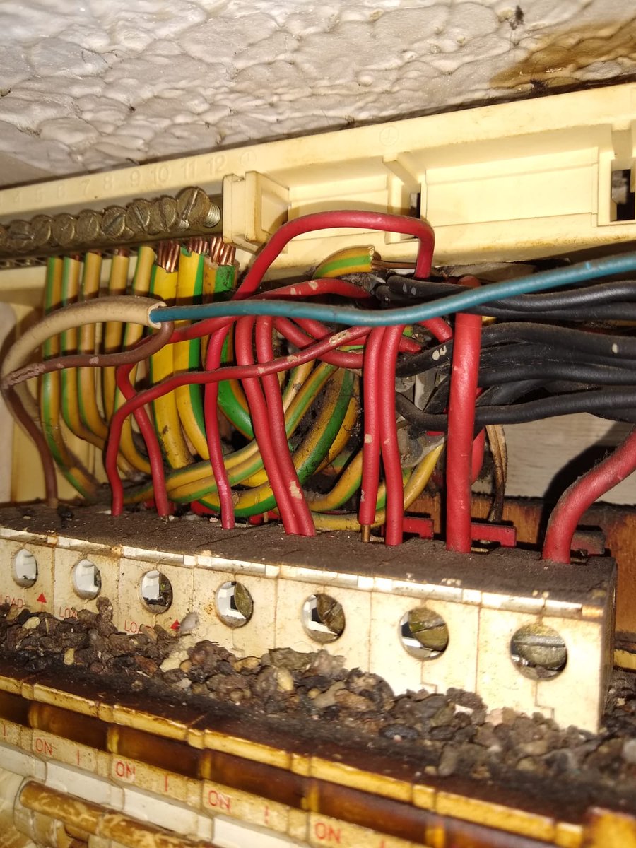SimonBillingha2's tweet photo. Board change yesterday.
Most of the mouse s#*t fell out when the cover was removed. https://t.co/0nHomlI9kq