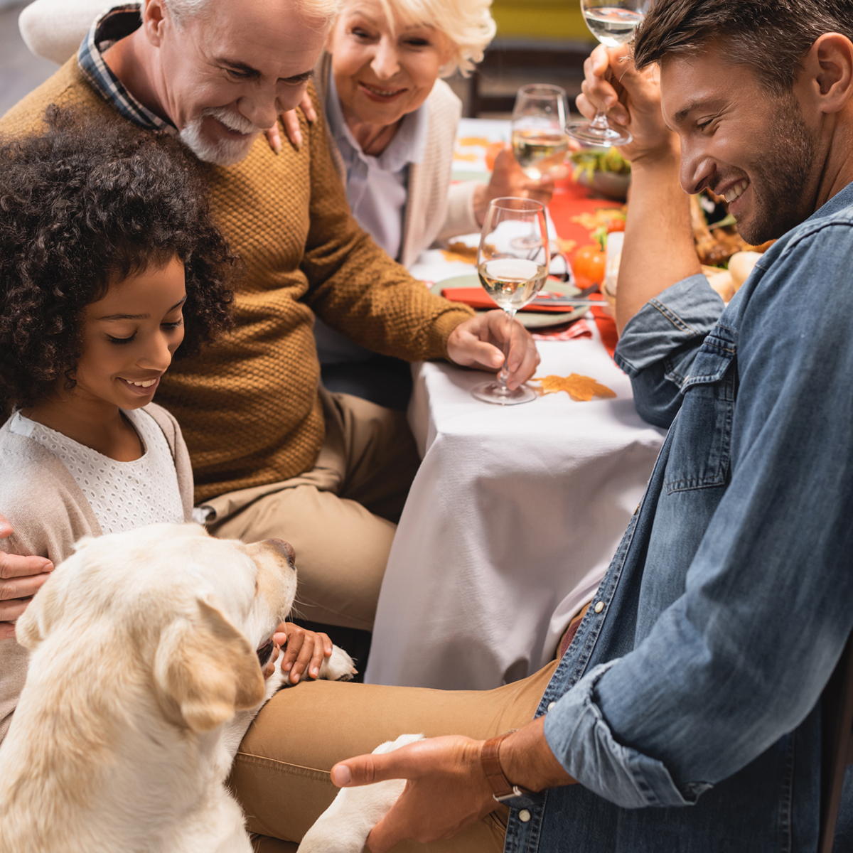 Pets are family too! We are pet-friendly, and we welcome your furry friend for the holidays. Pet-friendly rooms are limited and must be booked direct. #petfriendly #travelwithpets #holidaywithpets #thanksgiving2020 #thanksgivingtravel #visitvirginia