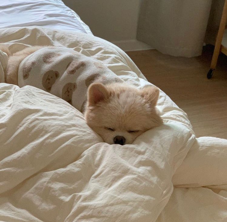 𝒎𝒐𝒐𝒅𝒆𝒍𝒊𝒄𝒂𝒕𝒆 (@moodelicate) on Twitter photo 