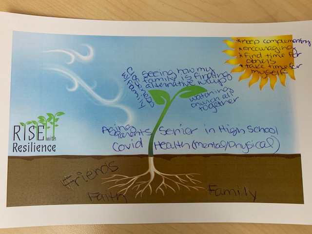 AgCJennie's tweet photo. What a great way to motivate this morning.  #RiseWithAgC.  Here are the roots, stem (which might be kind of wavy right now), the leaves and the sun.  The sun will always shine tomorrow.  Be patient.  Choose kindness. https://t.co/YiNBnuveaO