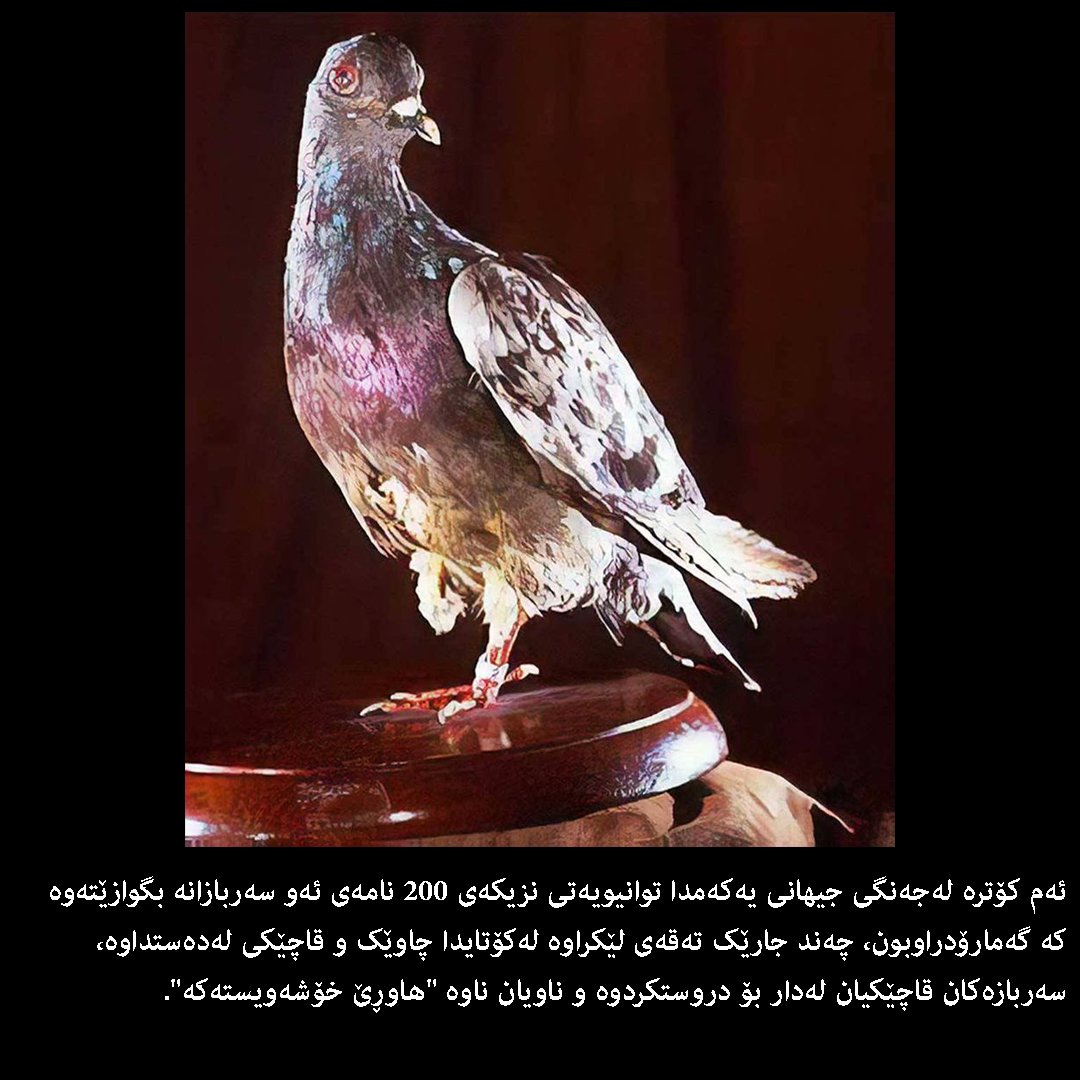 SchoolFraming's tweet photo. چیرۆكی 7 وێنەی كارگەریگە لەمێژوی مرۆڤایەتیدا

فێرگەی #فرێمینگ بۆ وێنەی رۆژنامەوانی https://t.co/yKap78byru