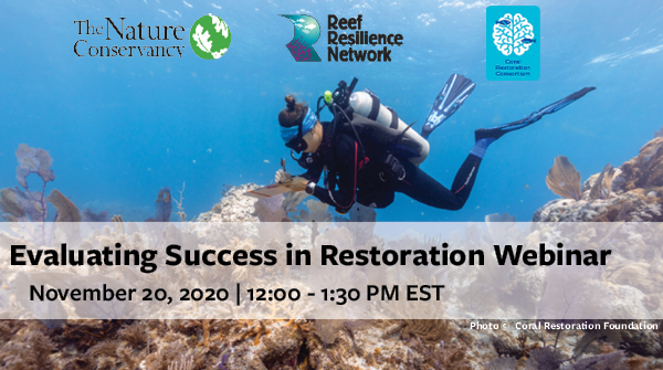 Reef Resilience tweet media