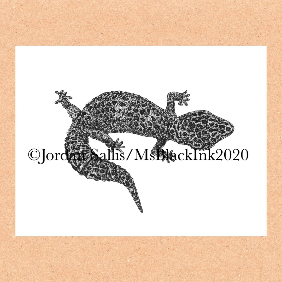 MsBlackInk_'s tweet photo. The back illustration of this Common Leopard Gecko was really fun to do in capturing their stride of movement.
#rainforestexotics #exoticpet #exoticanimal #reptile #leopardgecko #commonleopadgecko #art #artwork #artist #organic #pagan #illustration #msblackink #nature #eco https://t.co/elLpTnzUvu
