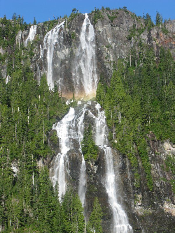 November 17 is National #TakeAHikeDay! At INEO, we believe in balance. After enjoying our programs, our participants might  explore #LogTrainTrail #StampLongRiverTrail #DellaFallsTrail #FossliParkTrails #MountArrowsmithTrails

Sources: vancouverisland.com/things-to-do-a… 
&amp; Cedar Wood Lodge