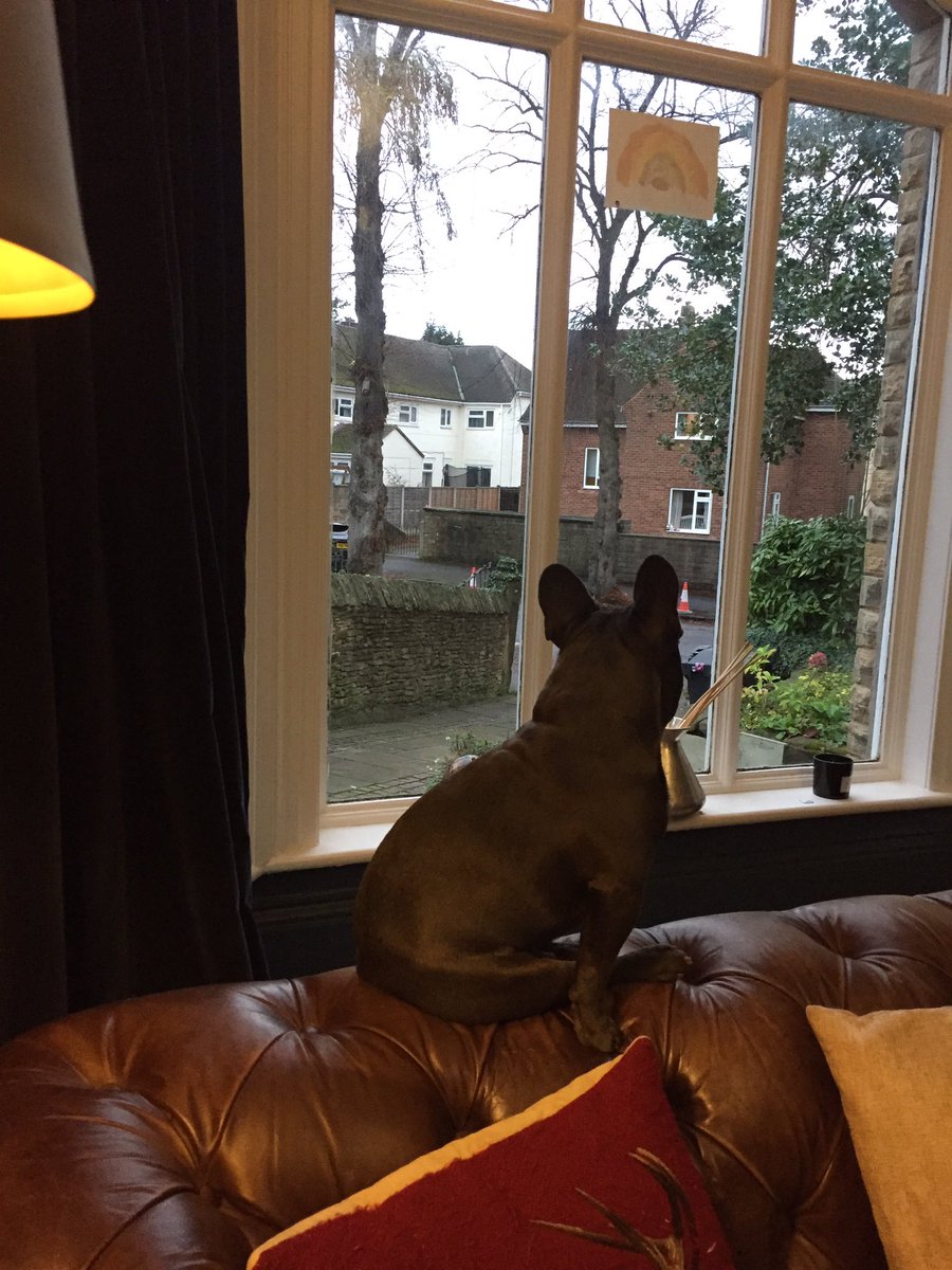 maternitylawyer's tweet photo. Day 13: Change. This is my view of the world. It’s where I sit to watch the world go by. No, I am not a nosey neighbour. well perhaps a little. Today I was reminded of a saying by Gandi, ‘you must be the change you wish to see in the world’. #TipsfromMrJ https://t.co/9AeI6fVKOx