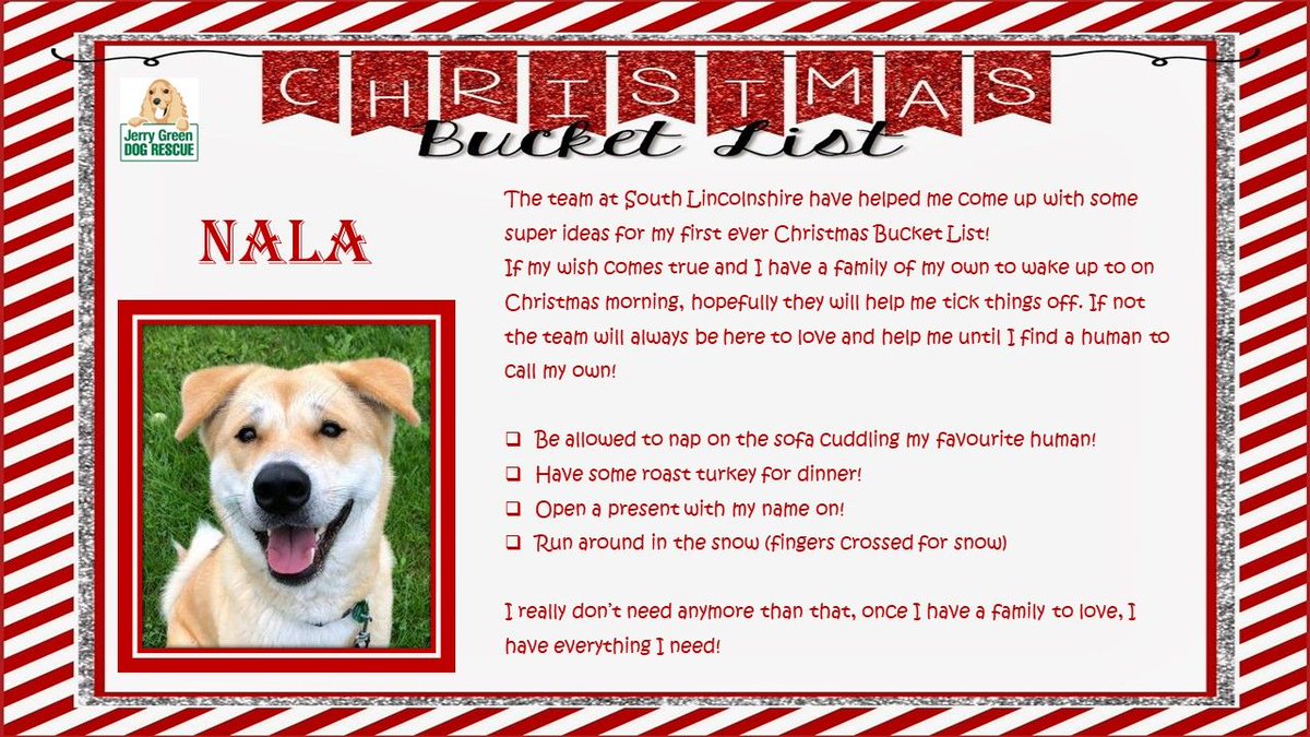 jerry green rescue centre