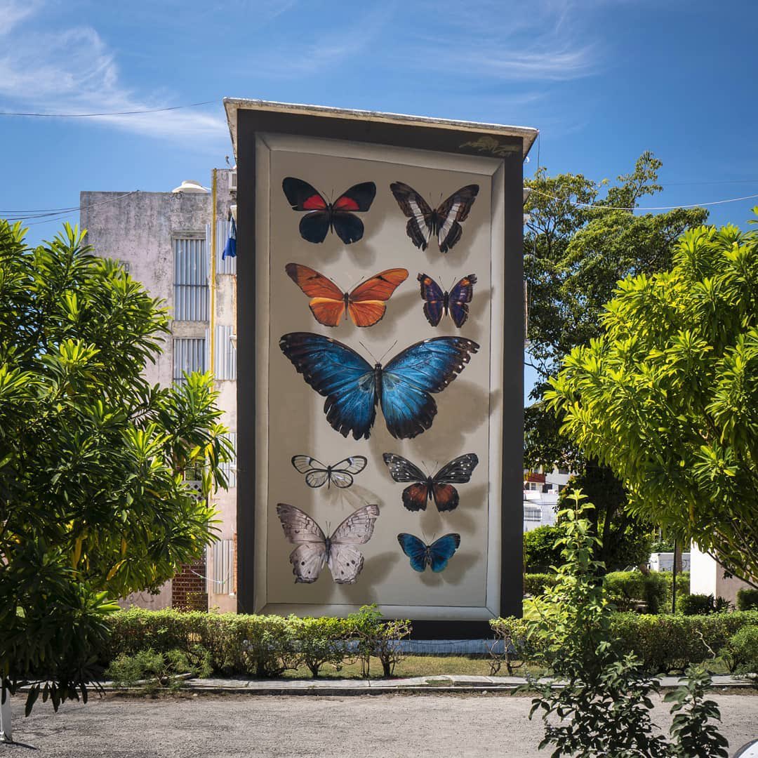 instagram's tweet photo. Majestic murals that are completely freehand 🦋💞  

#ThisWeekOnInstagram   

https://t.co/XzBsZjSCyK https://t.co/9UYQ5bXjVj