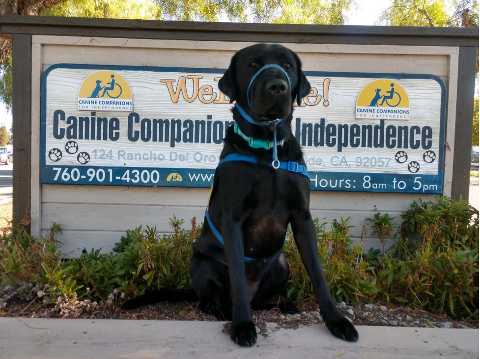 School of PT tweet media