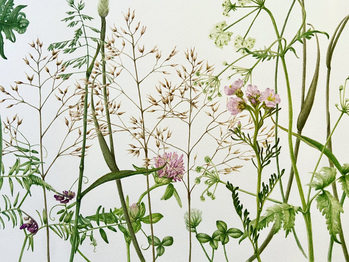 Nearly done. 💪🏻 #tuesdaymotivations #painting