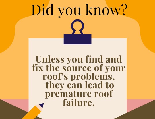 JuffsRoofing's tweet photo. Juffs Roofing will inspect your roof and look for signs of premature roof failure, our experts will recommend the best preventative solutions.  
#roofing #inspections #Toronto https://t.co/DSRcJeZWEt