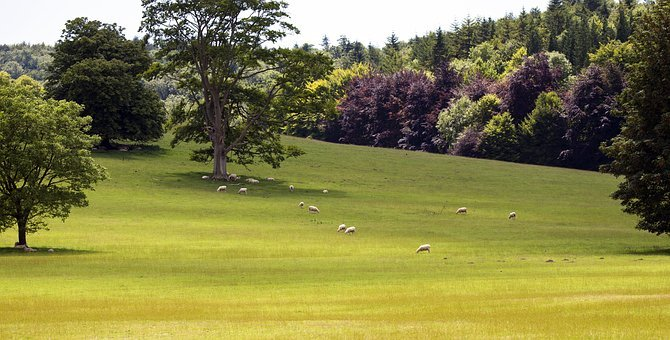 A great opportunity to join a highly skilled MDT working with older people, a FT post with welcoming &amp; supportive psychologists already established on the team. Informal chats very welcome. Closing date: 13.12.20
jobs.nhs.uk/xi/vacancy/916…
<a href="/TinaLee03143127/">Tina Lee</a> @PadmaDalby @puffin_le