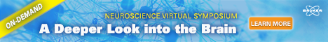 Did you miss our 3-day #neuroscience symposium? Not to worry, the presentations are now available on-demand! Listen to world-renowned scientists present their impactful research at a time that is convenient for you. #brukerneurosymposium

Learn More 👉ow.ly/yl8e50Cn6XG