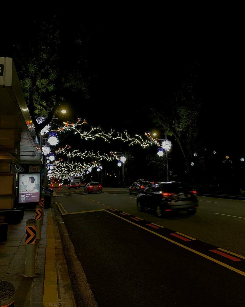 turtleism's tweet image. Simple bliss; childhood memories, where we will stay up late in the night waiting for dad to return home and drive us around orchard to see the streets light up during xmas season. Often we end up dozing off during the ride too. instagr.am/p/CHsyh50nrz1/