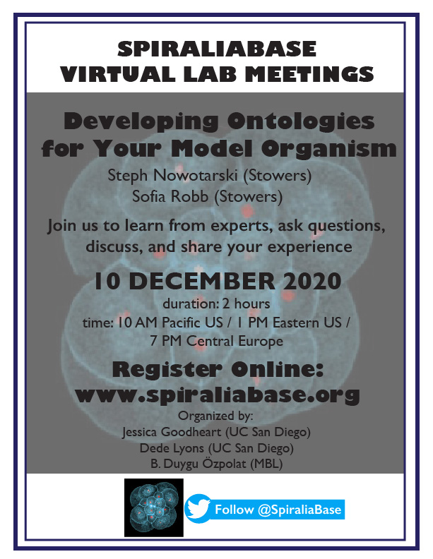 SpiraliaBase's tweet photo. Our next VLM! How do emerging research organisms build the tools all the established research organisms have? We will talk about building one of these tools, an anatomy ontology, for the planarian flatworm Schmidtea mediterranea. @S_Nowotarski and Sofia Robb from @ScienceStowers https://t.co/zQB8reSgQo