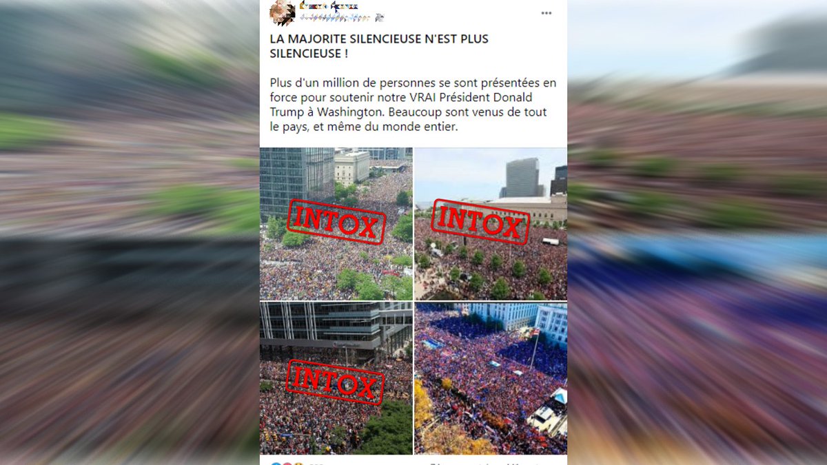 InfoIntoxF24 photo