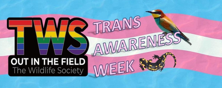 Happy #TransAwarenessWeek  from Out in the Field! 
This week we are celebrating all trans and gender-diverse Wildlifers. We see you and we are here to support you.
#TransInSTEM #ThemInSTEM #LGBTQSTEM