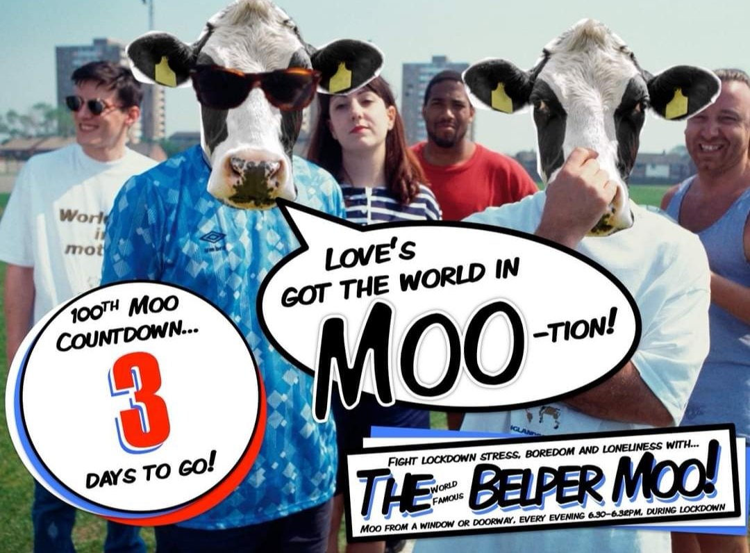thebelpermoo's tweet photo. Ok so THREE days to go for the 100th #moo and our crack at a #nationalmooso get sharing away and spreading the love! 
#thebelpermoo #lockdownmoo #belper https://t.co/yMCn1wmdTj
