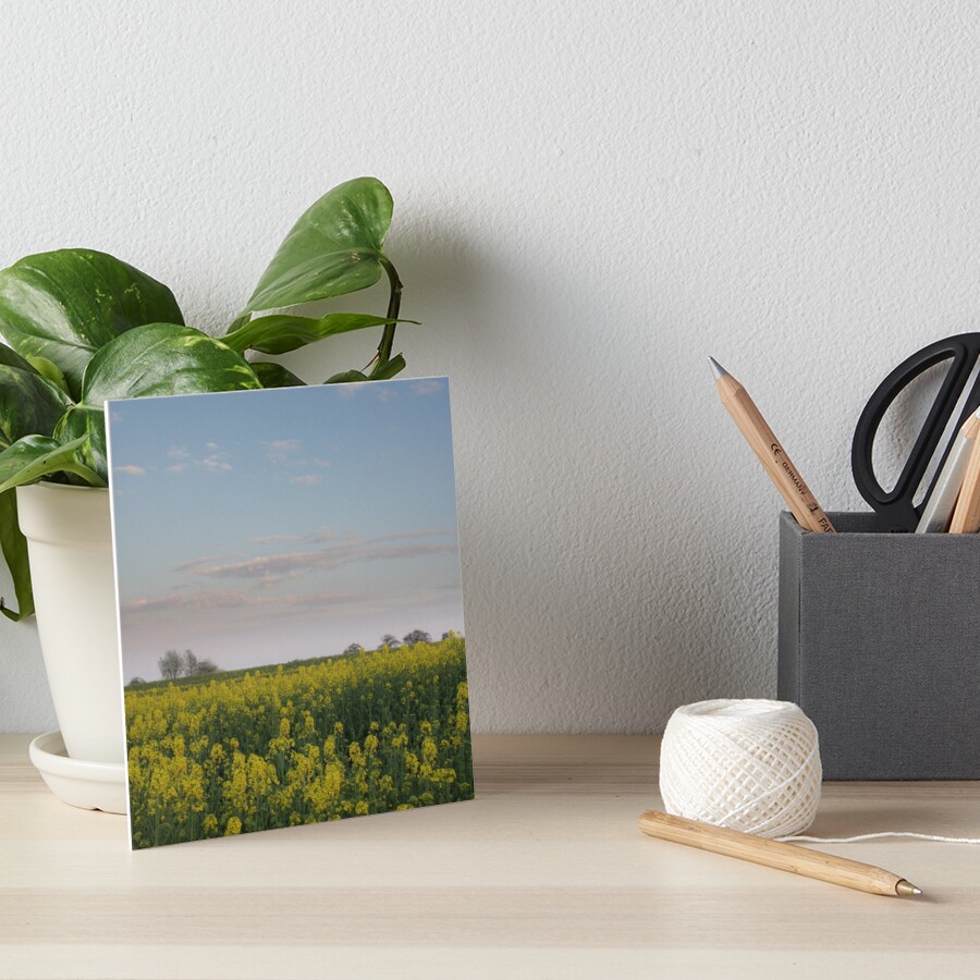 Looking for gift ideas for Christmas? 
redbubble.com/shop/ap/626654… #findyourthing #ChristmasGiftIdeas #landscape #artprints
