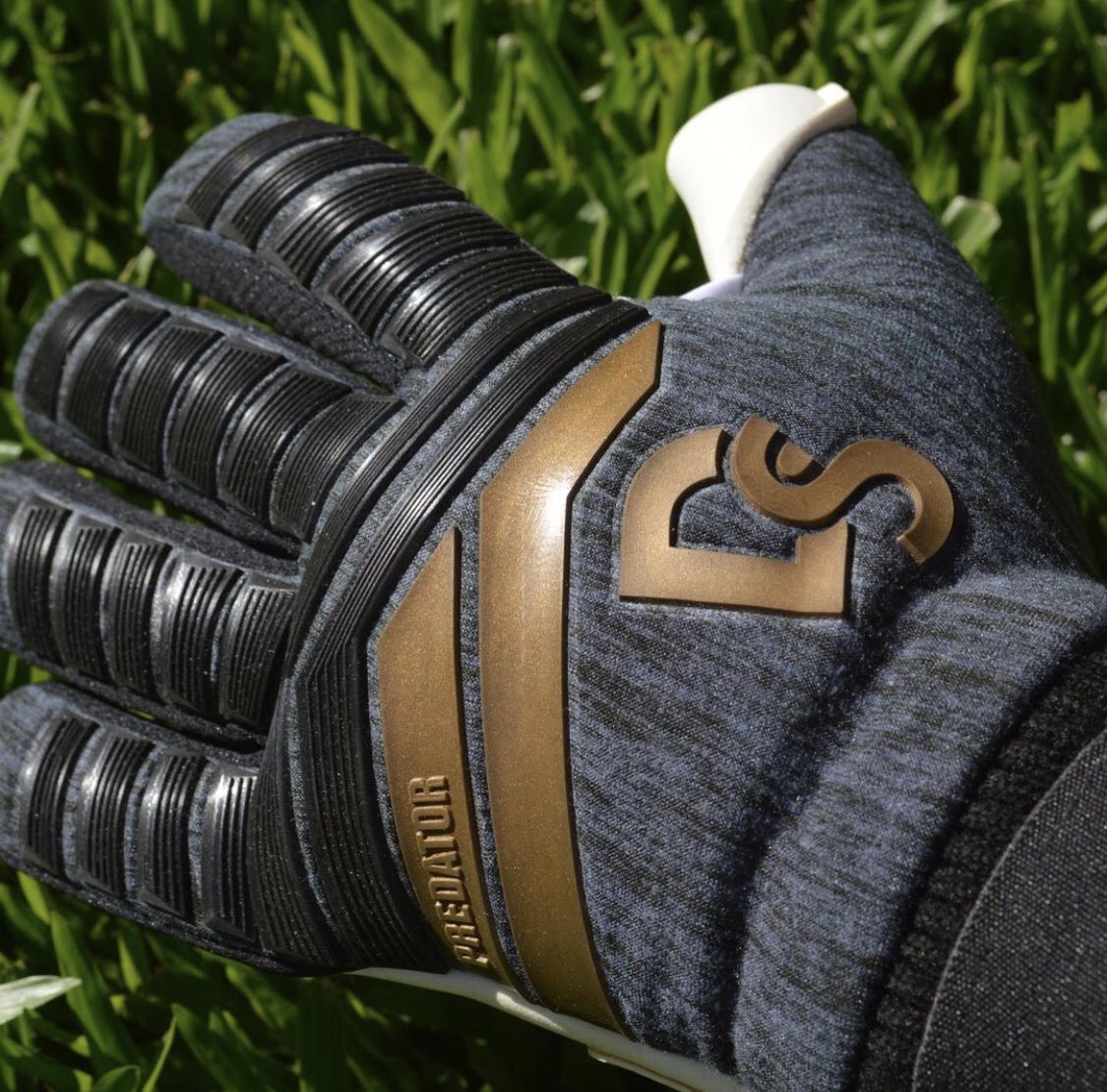 DeporStoreUY's tweet photo. Modelo DS1 Soul 🧤
Látex Alemán 🇩🇪

Talles disponibles 8 al 10
🚚Envíos a todo el país📦

#GuantesDS1 #DS1Soul #guantesdearqueros #arqueros #arqueras #goalkeepersgloves #futbol #guantesdearquero https://t.co/sZ01e6DA2q